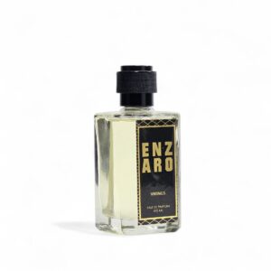 Vikings (Inspired by Viking)